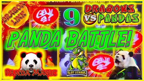 PANDA'S ATTACK!!! 3 PANDAS WHO IS BEST! Wild Panda, Pandas VS Dragons, Dragon Link Panda Magic!