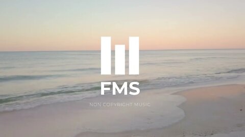 FMS - Free Non Copyright EDM Music #023