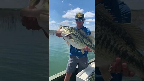 14 POUND Texas ShareLunker Release