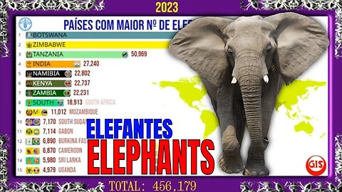 Os Países com Maior Nº de Elefantes do Mundo