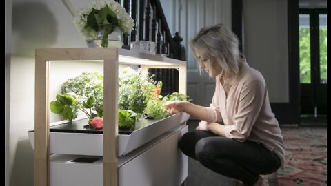 Rise Gardens Indoors Gardens – Smart Indoors Gardening Units