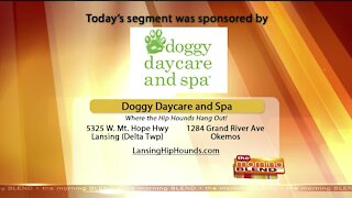 Doggy Daycare and Spa - 9/24/20