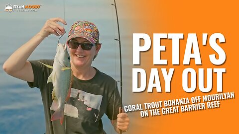 Peta's day out : Coral trout bonanza off Mourilyan on the Great Barrier Reef.