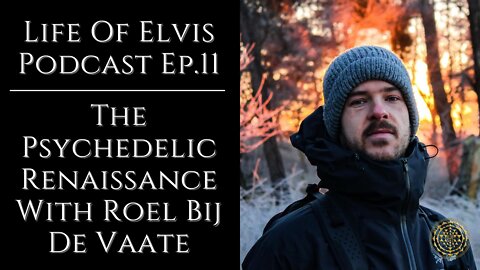 Life Of Elvis Podcast Ep.11: The Psychedelic Renaissance With Roel Bij De Vaate