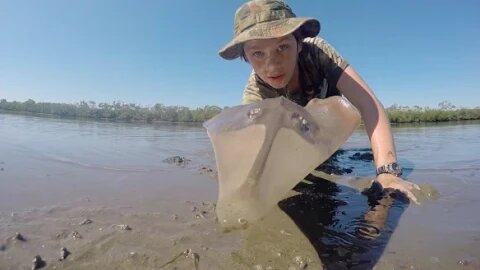 Shovel Nosed Shark Caught BARE-HANDED!