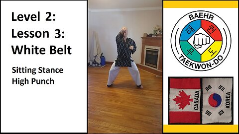 Baehr Taekwondo: 02-03: Yellow Stripe: Sitting Stance - High Punch