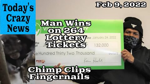 Today's Crazy News - Chimp Clips Fingernails, Man Wins on 264 Lottery Tickets