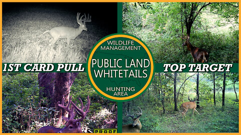 Giant On Trail Camera | Finding Big Bucks On Public Land | Big Public Bucks