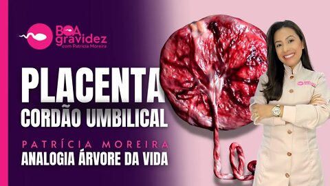 Como Funciona a Placenta e Cordão Umbilical? | Analogia com a Árvore da Vida - Patricia Moreira