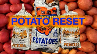 POTATO RESET 3-5 POTATO HACK STARCH SOLUTION