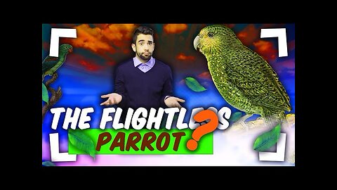 Discovering Kakapo: The Fascinating Flightless Parrot of New Zealand