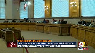 City council passes resolution on gun restrictions