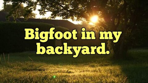 BIGFOOT IN MY BACKYARD