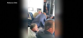 Passenger on Delta flight tries to break into cockpit
