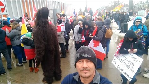 Fredericton Protest - TruckersForFreedom2022 (Feb12, 2022)