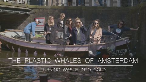 The Plastic Whales of Amsterdam