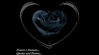 A rosa negra é especial, ela é pura escuridão, trás a morte... [Poesia] [Frases e Poemas]