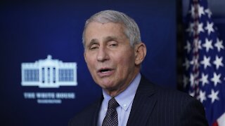Fauci: Political Divide Contributed To Death Toll