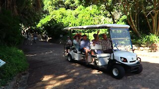 SOUTH AFRICA - Cape Town - Kirstenbosch National Botanical Garden (Video) (kjj)