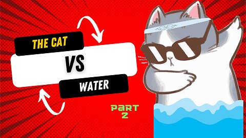 Cat Splash Chronicles: More Hilarious Wet Cat Moments!