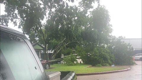 Houston storms tree came down