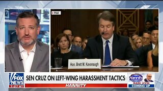 Sen Ted Cruz: Democrats Angry Rhetoric Feeds Political Hatred