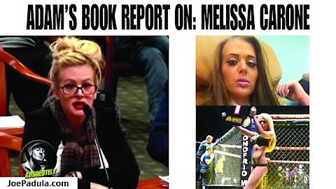 Adam's Book Report on Melissa Carone from the Michigan Election Hearings