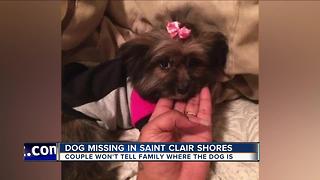 Saint Clair Shores girl hopes to get dog back from people who say they found her