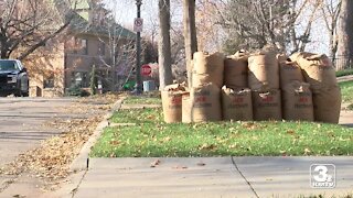 Limits on yard waste pickups and city's next garbage contract