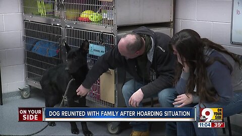 22 dogs rescued from Bethel hoarding situation, one reunited with family after two-year absence