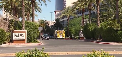 AstroTurf fire under investigation at Palms