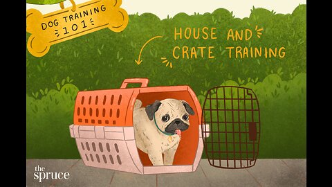 House Training Your Poodle: A Step-by-Step Guide to Success 🏡🐩