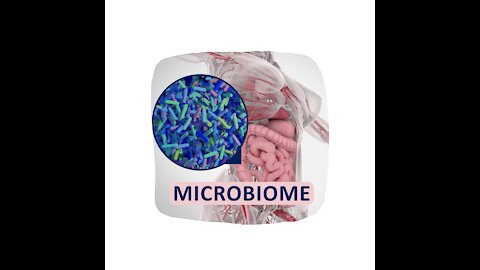 Let's talk Gut Microbiome Basics