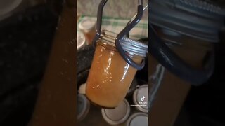 Canning Apple Sauce on the Homestead