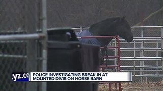 Police investigating break-in at mounted division horse barn