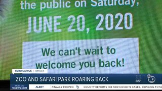 San Diego Zoo and Safari Park reopen June 20th