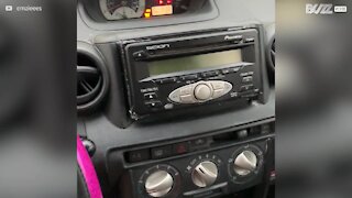 Une façon originale de cacher son autoradio