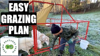 Easy Grazing Plan For Small Acreage