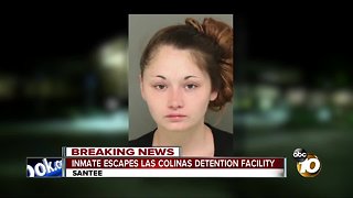Inmate escapes Las Colinas Detention Facility
