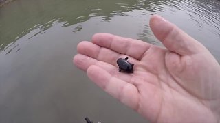 Fly Fishing the Owyhee