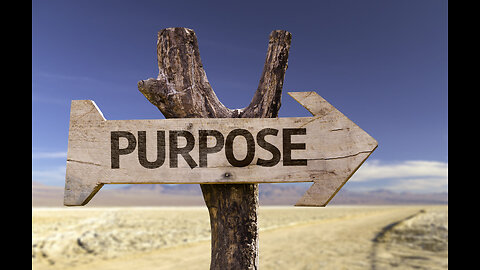 || FINDING YOUR PURPOSE || FINDING THE RIGHT STARTING PLACE || WALKING OUT YOUR PURPOSE(S) ||