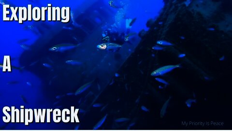 Exploring An Old Shipwreck | Sunken Ship | Underwater Exploration | Boat