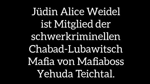 Die Wahrheit über Alice Weidel