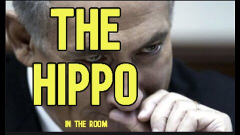 The Hippo in the Room