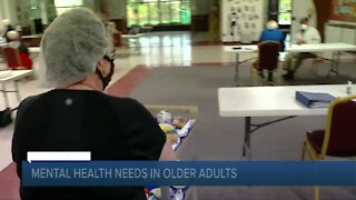 Keeping a check on mental health & illness for older adults