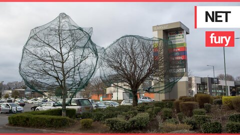 Residents outraged after nets put over trees to stop birds nesting near retail park