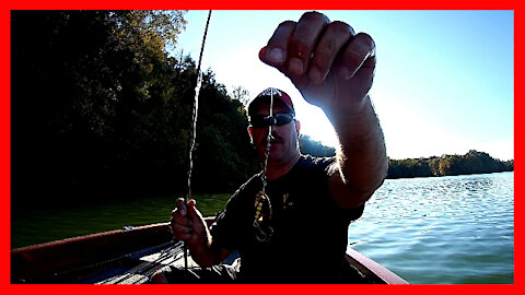 Catching fish on a Panther Martin Spinner