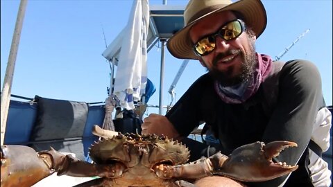 Mud Crab Catch and Cook (bare hands edition) - Free Range Sailing Episode 20