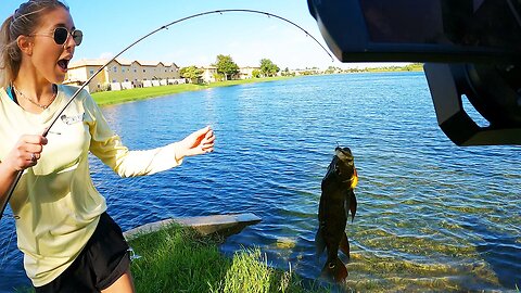 We try BASS FISHING in Miami ponds