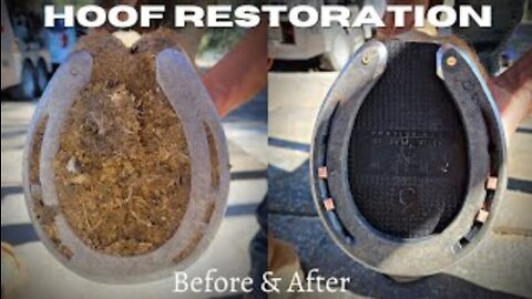 Very Satisfying - Hoof Restoration - Farrier ASMR